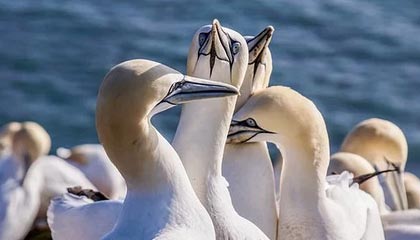 女友大方回应恋情：我很开心，我很爱亚马尔