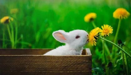 女友大方回应恋情：我很开心，我很爱亚马尔